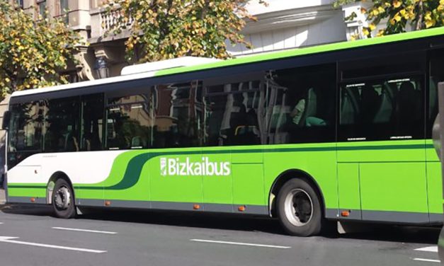 Seguimiento total de los trabajadores en el primer turno de paros convocados en el Bizkaibus Busturia Lea Artibai